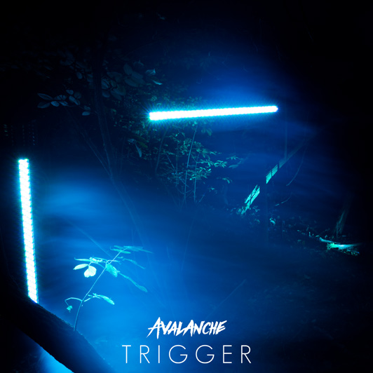 Trigger Cover