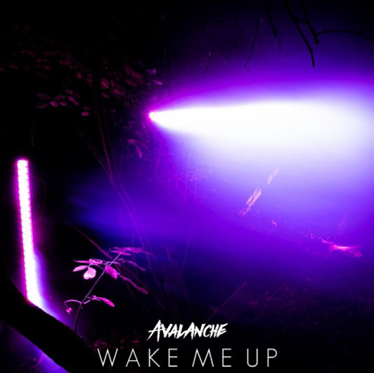 Wake Me Up Cover